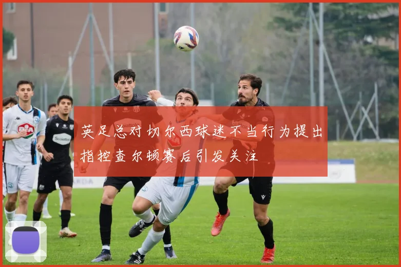英足总对切尔西球迷不当行为提出指控查尔顿赛后引发关注